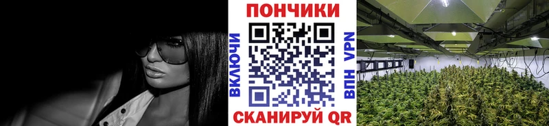Где купить наркоту Нарткала Alpha PVP Марихуана Мефедрон ГАШ Cocaine