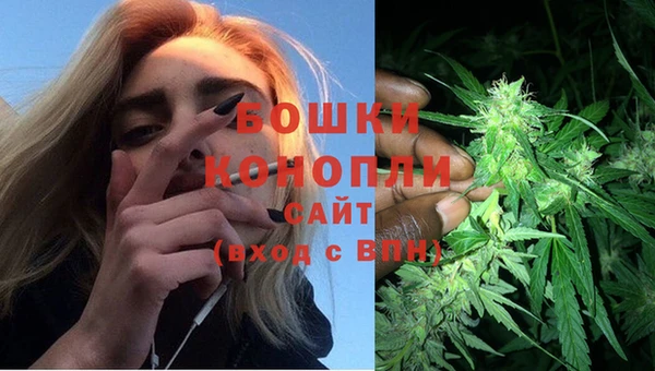 дживик Богородицк