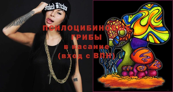 метадон Богданович