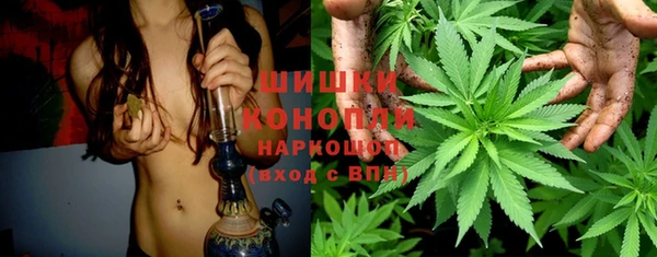 дживик Богородицк