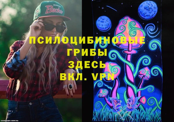дживик Богородицк
