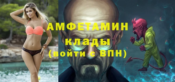 дживик Богородицк